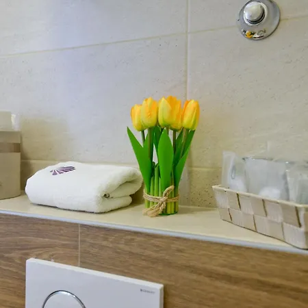 Zoilo Self Check-in Zadar